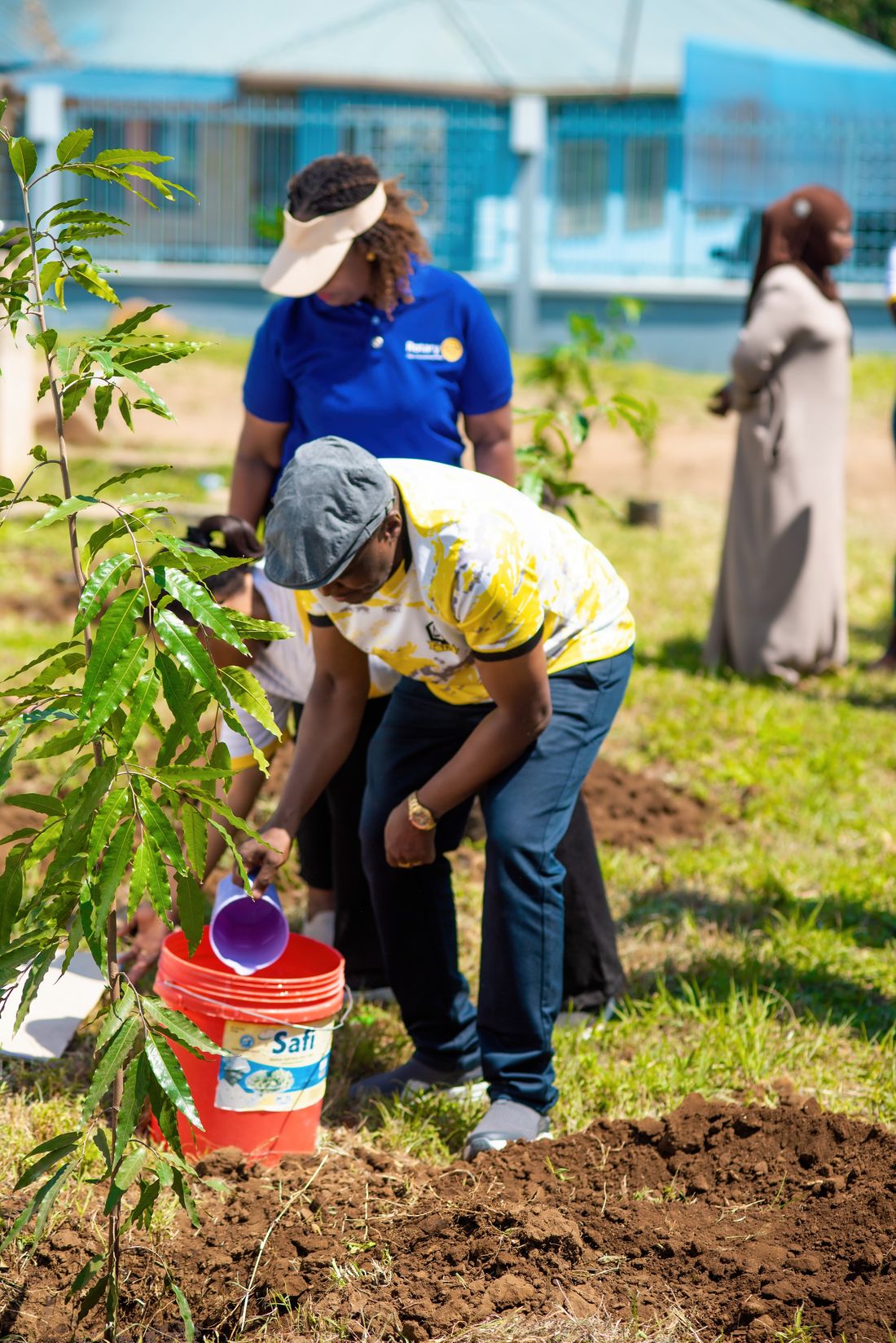 Watering a sapling at a club tree-planting project
